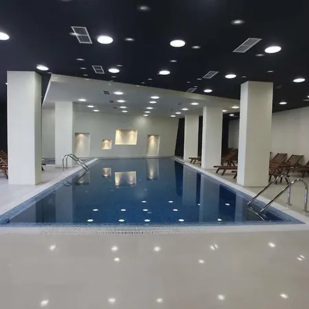 Aspen Studio 202